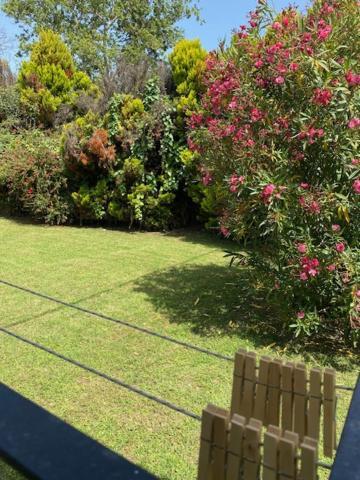 Calma Cottage Skiathos Exterior foto